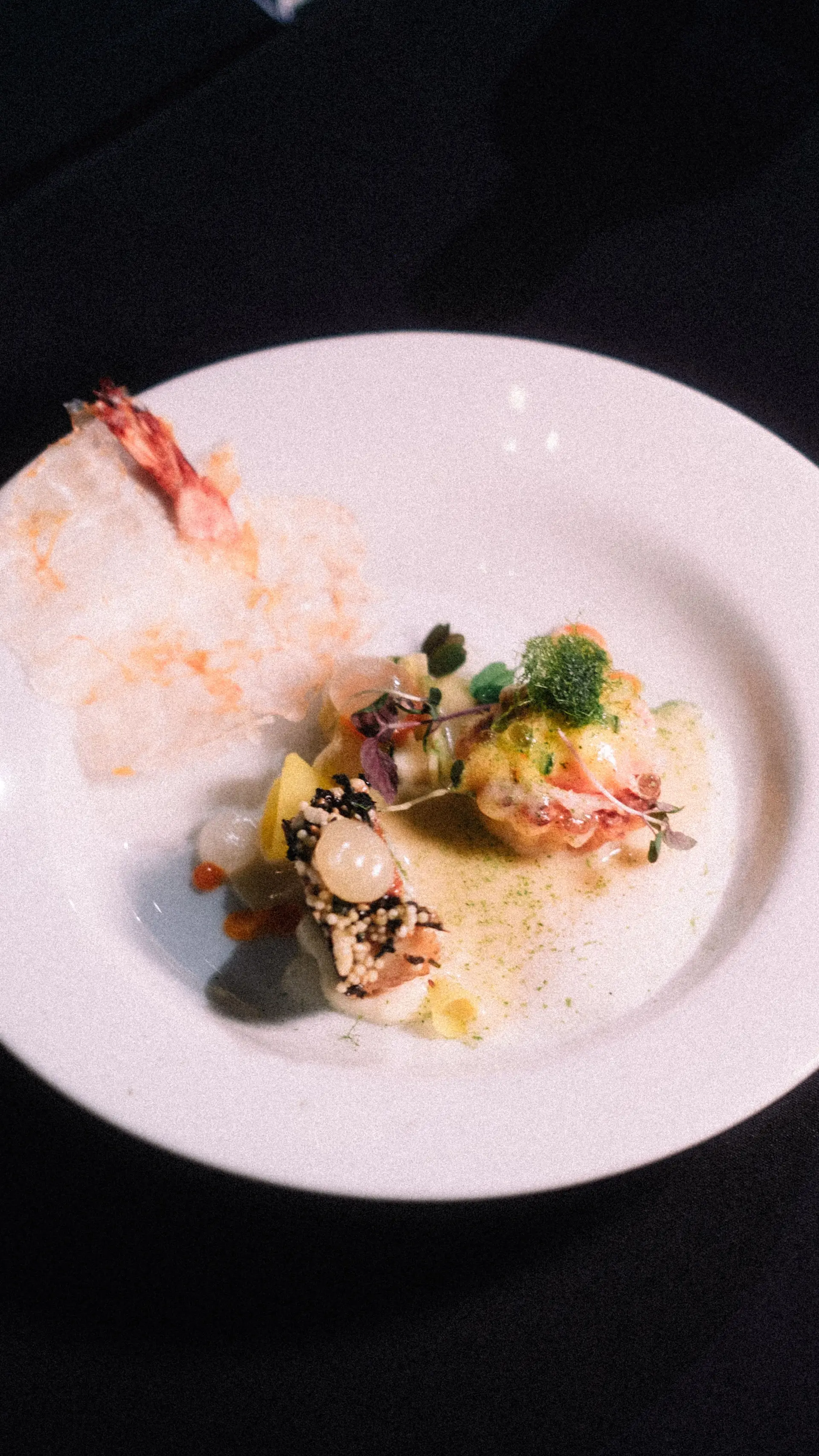 Gourmet lobster plate